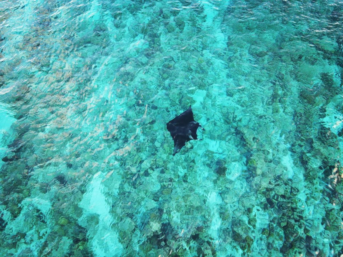 Ramzu Villa Thoddoo Exteriör bild