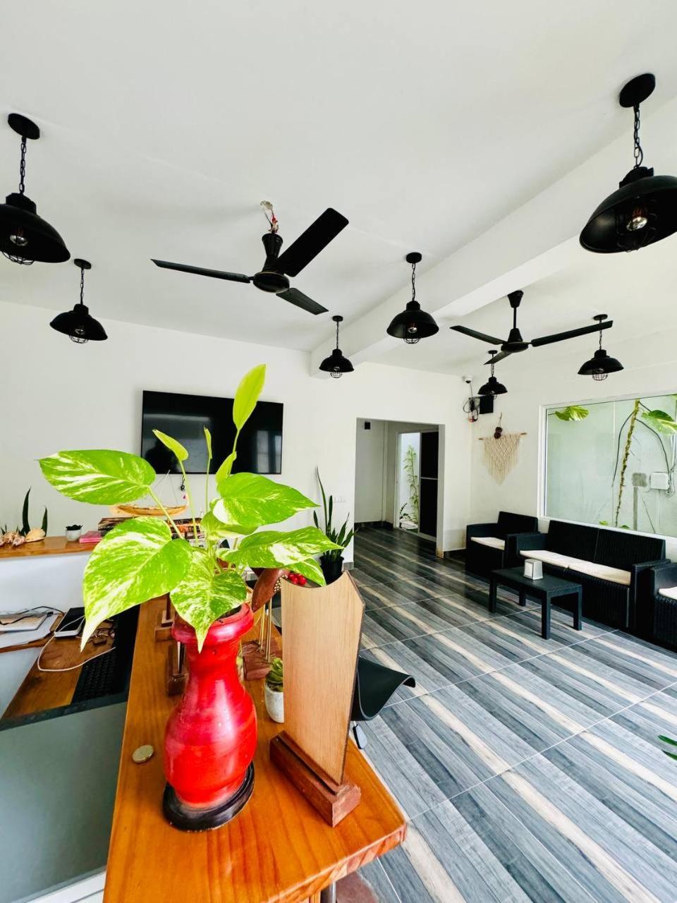 Ramzu Villa Thoddoo Exteriör bild